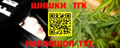 spice Камышлов