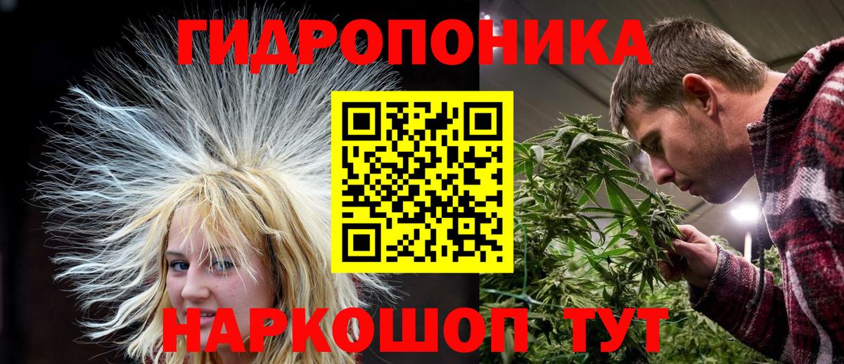 Бошки марихуана гибрид Кузнецк